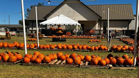 pumpkin patch in beaumont